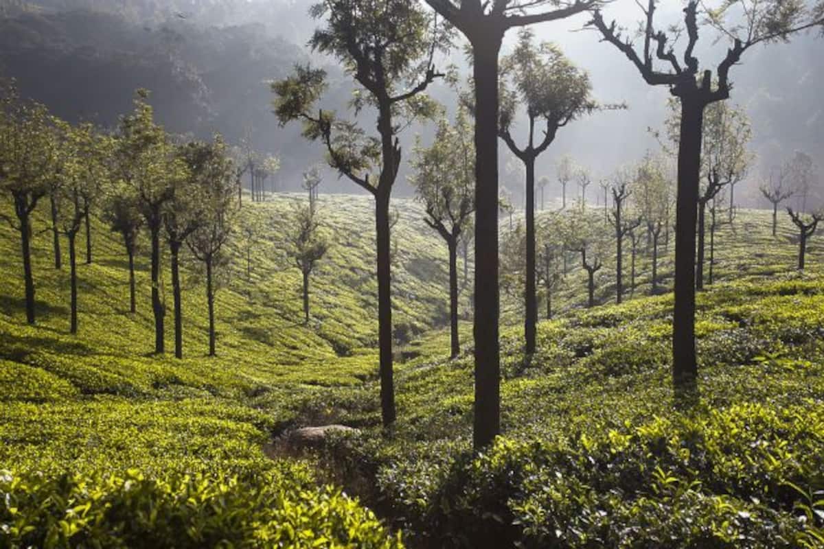 1200x800 These Coonoor Image Will Sweep You Off Your Feet And Make You Dream of a Vacation