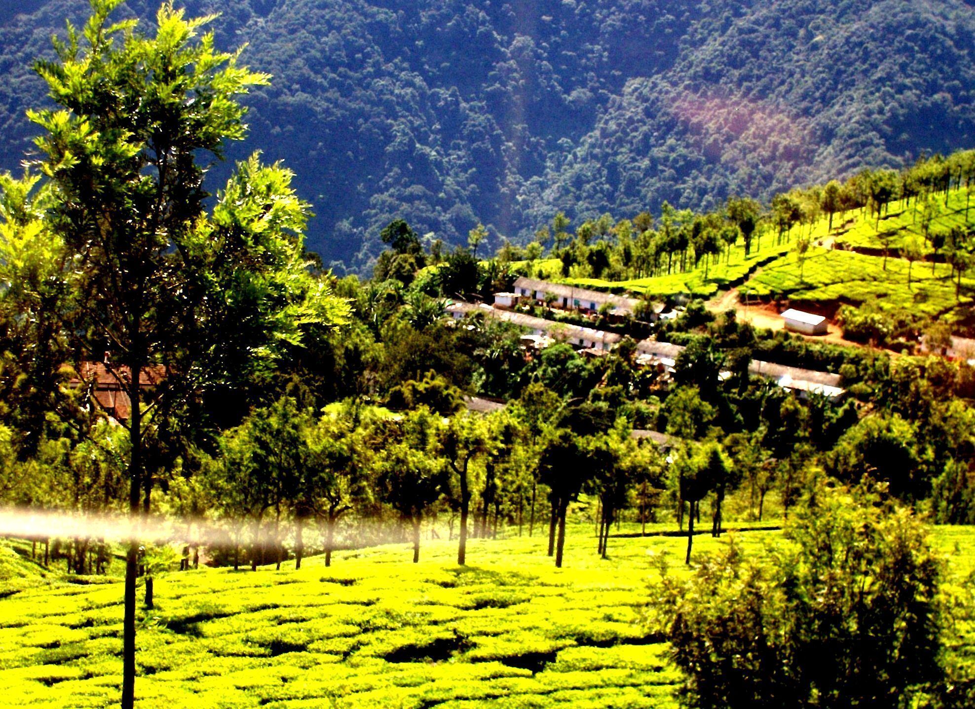 1976x1436 Things to Do in Coonoor in 2026