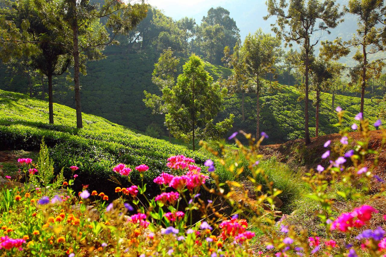 1280x853 Coonoor (South India) Holidays