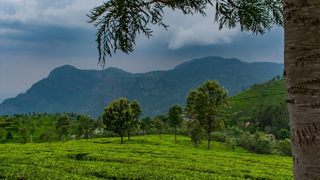 1280x720 Memorable Places to Visit in Coonoor This Summer Vacation