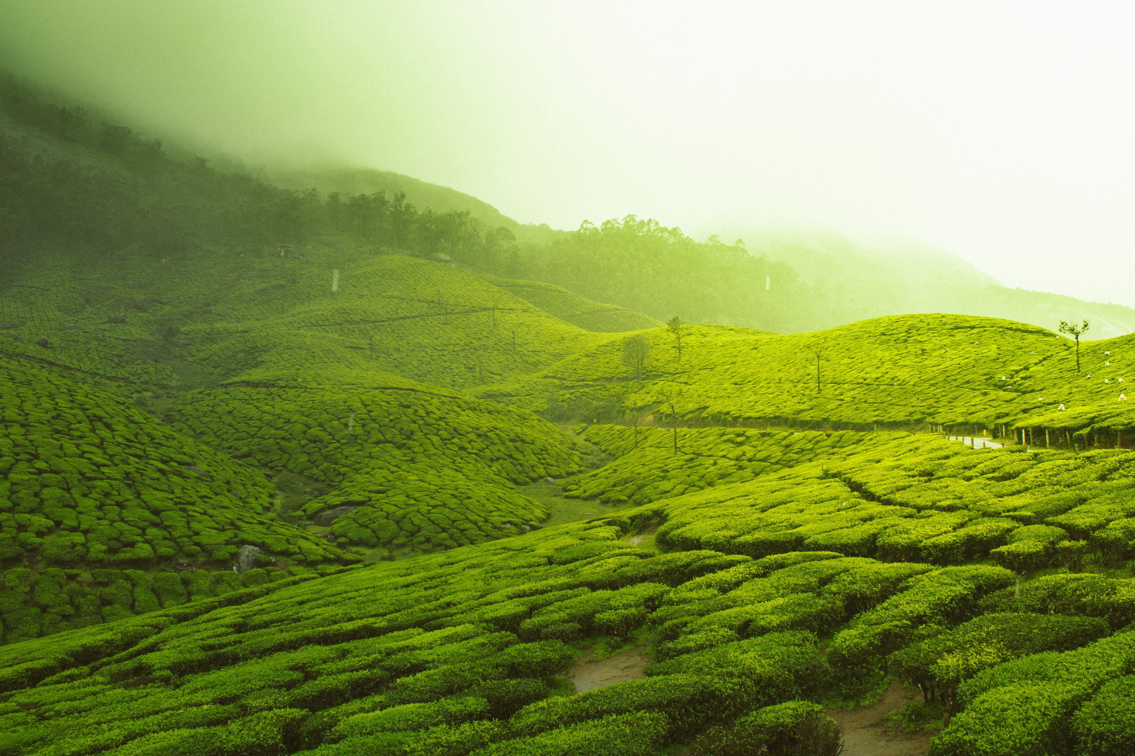 3840x2560 Ooty Coonoor. Travel Amigos Ultimate Travel Companion
