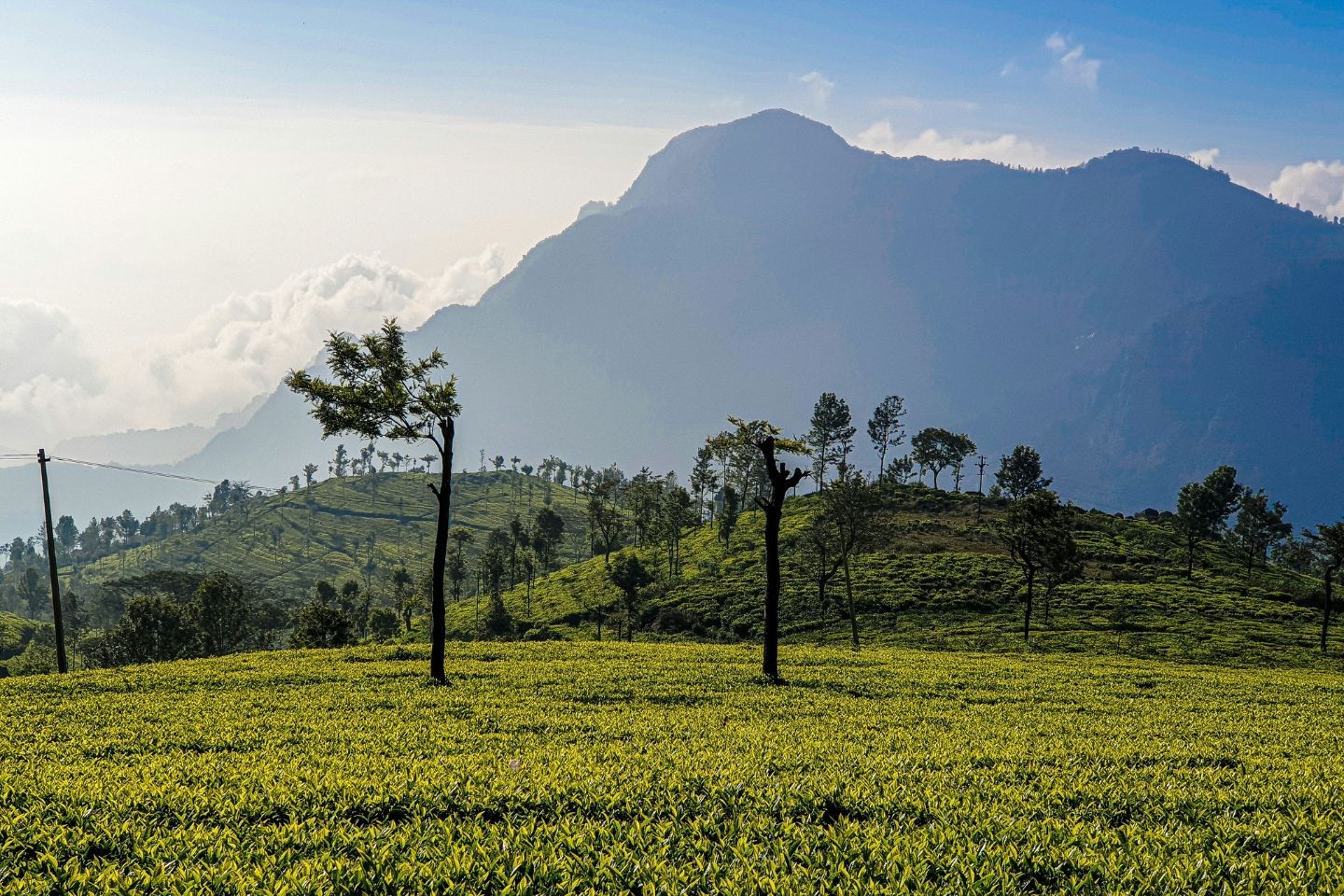 1440x960 Ooty Coonoor Packages from Coimbatore