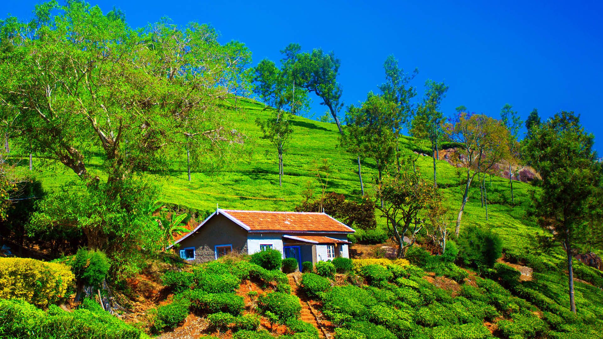 1920x1080 Add These 5 Unexplored Places In Coonoor To Your Travel Itinerary!