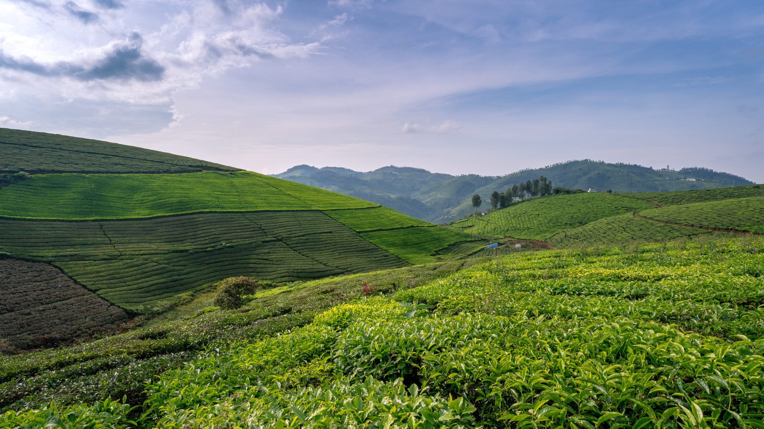 2560x1439 Coonoor Guide, See, Do & Stay. Luxury Travellers' Guide Stays Blog