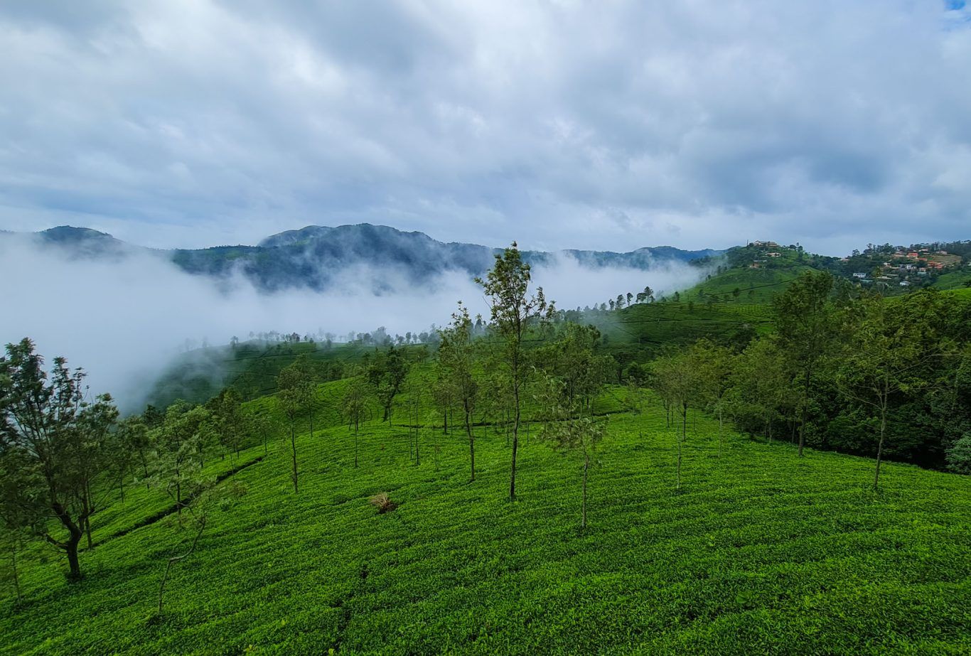 1366x923 A Road Trip in Tamil Nadu, Coonoor, and the Nilgiris