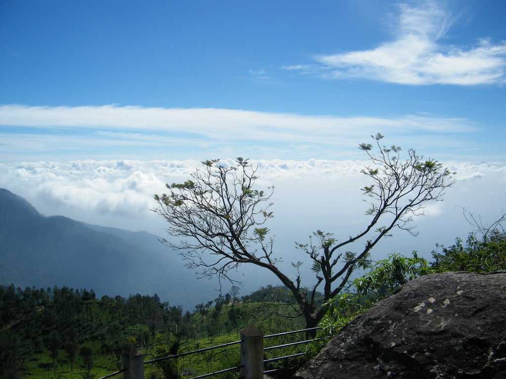 1024x768 Things to Do in Coonoor