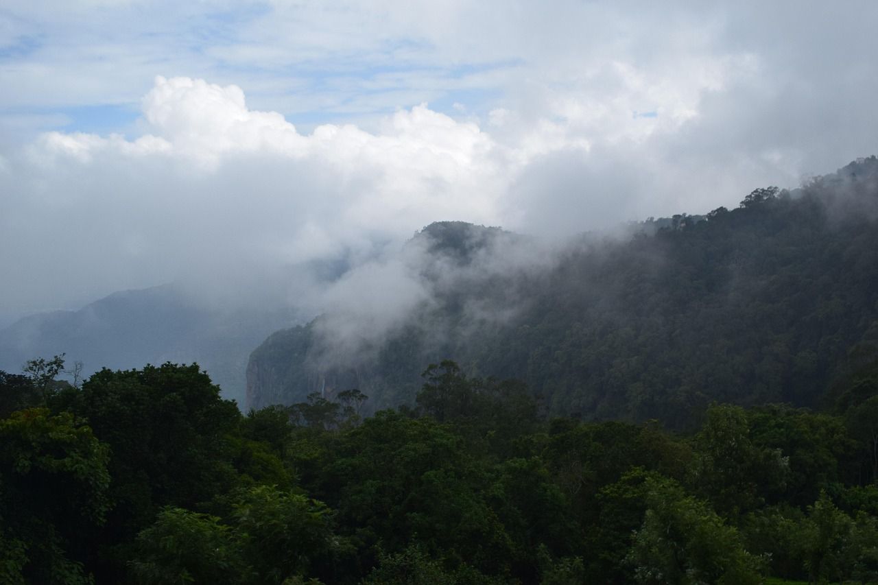 1280x853 Free Coonoor & Nature Image