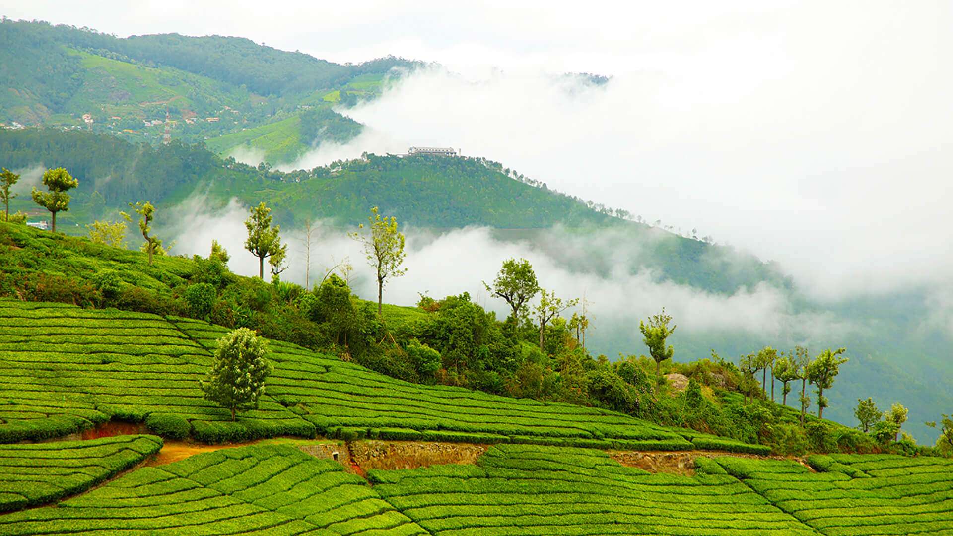 1920x1080 Coonoor Tourism: Sightseeing, Best Viewpoints and Attractions