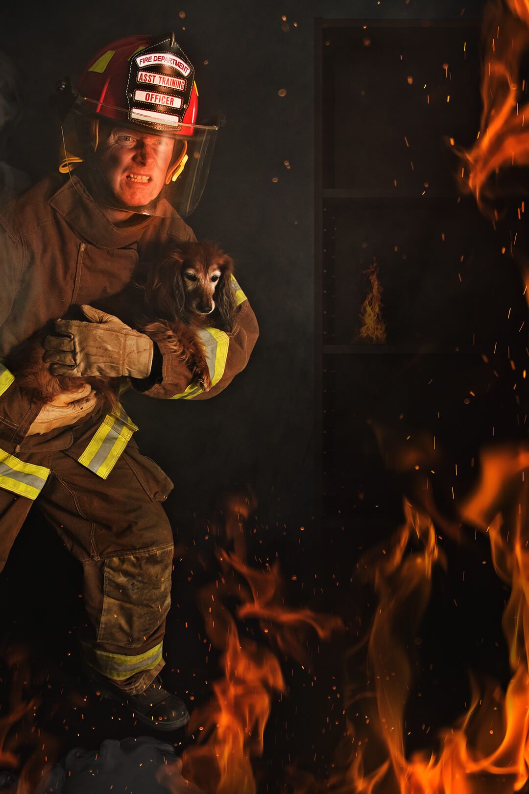 1080x1620 Pet Fire Safety Do's & Don'ts. PetArmor®