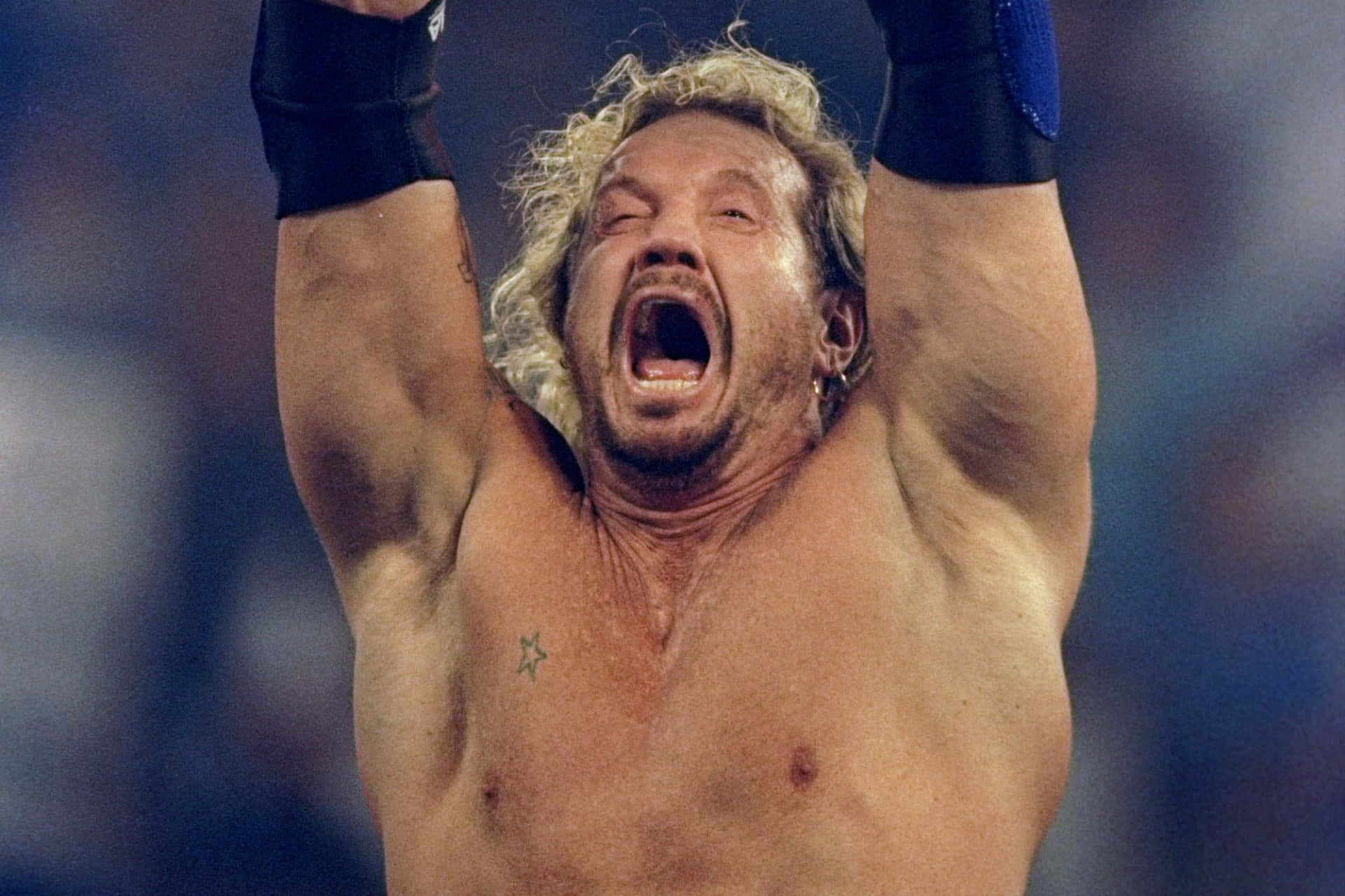 1920x1279 Diamond Dallas Page Wallpaper