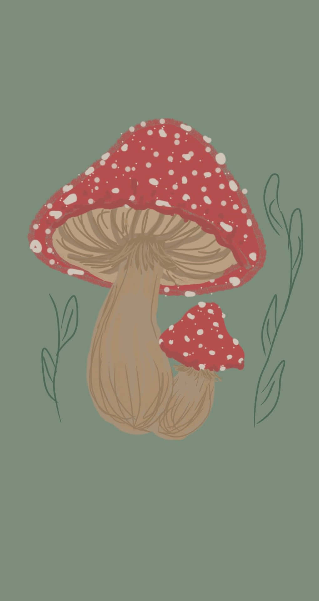 1020x1920 Mushroom Phone Wallpaper