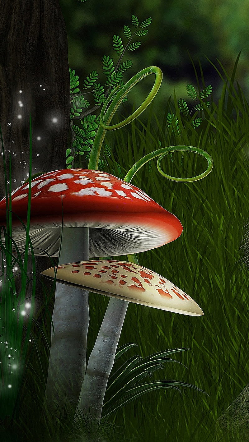 800x1422 Red mushroom, green, HD phone wallpaper
