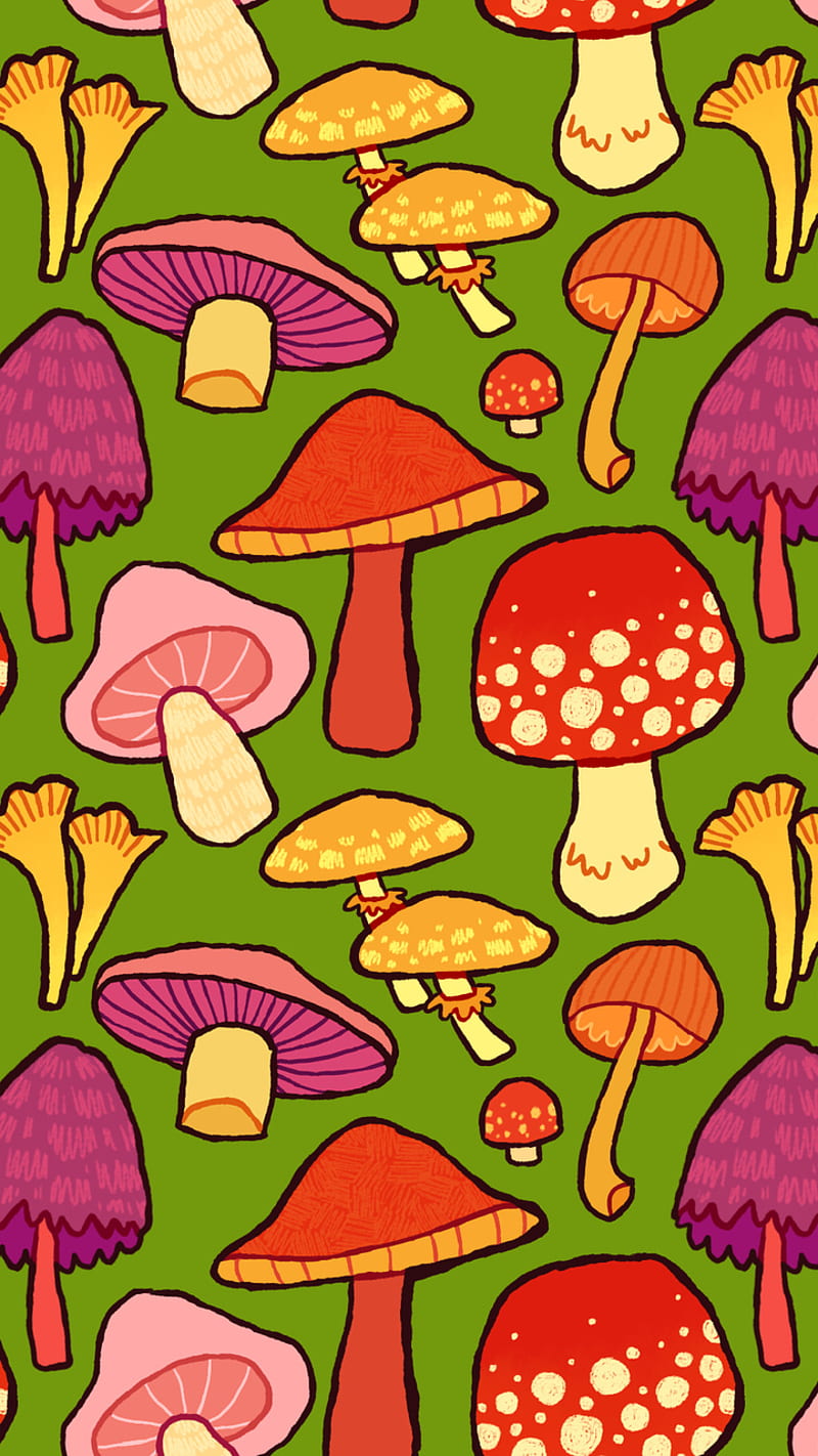 800x1422 Mushrooms, art, HD phone wallpaper