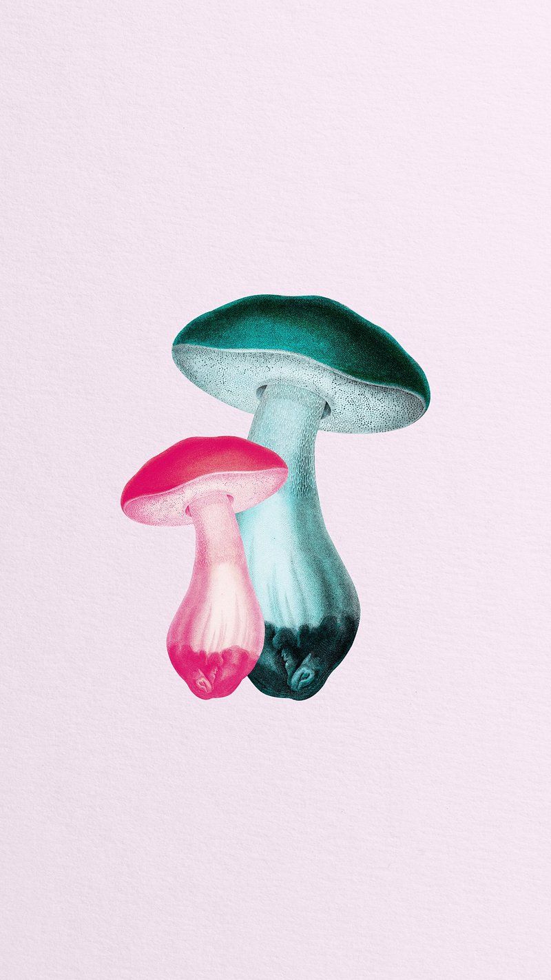 800x1422 Mushroom iPhone Wallpaper Image Wallpaper