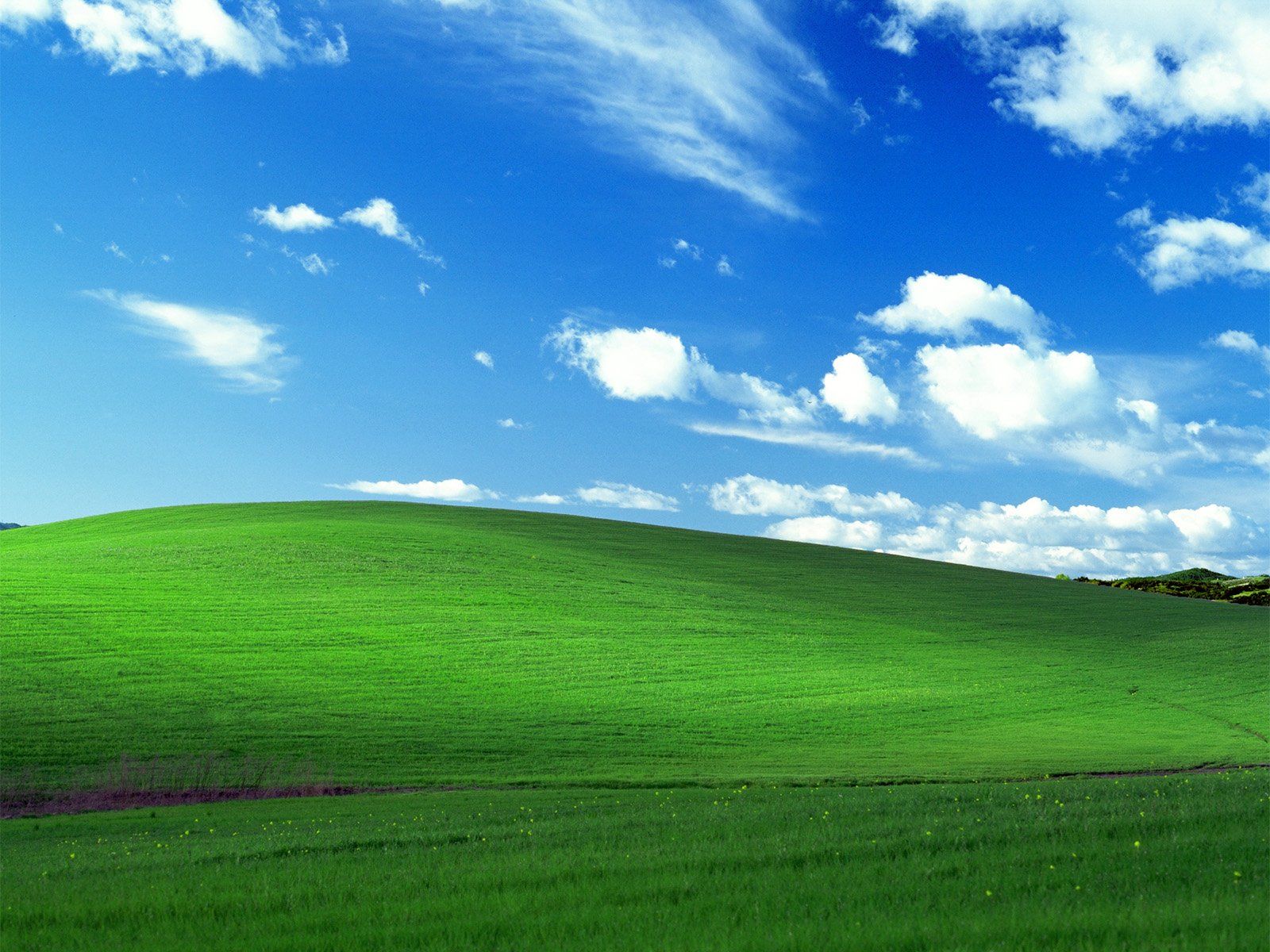1600x1200 Windows 99 Wallpaper