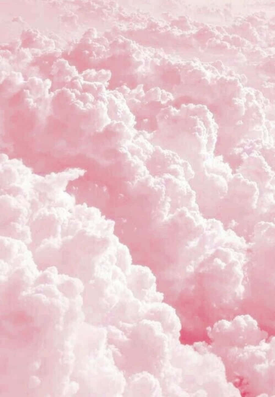 900x1298 Download Aesthetic beauty of pink and white Wallpaper