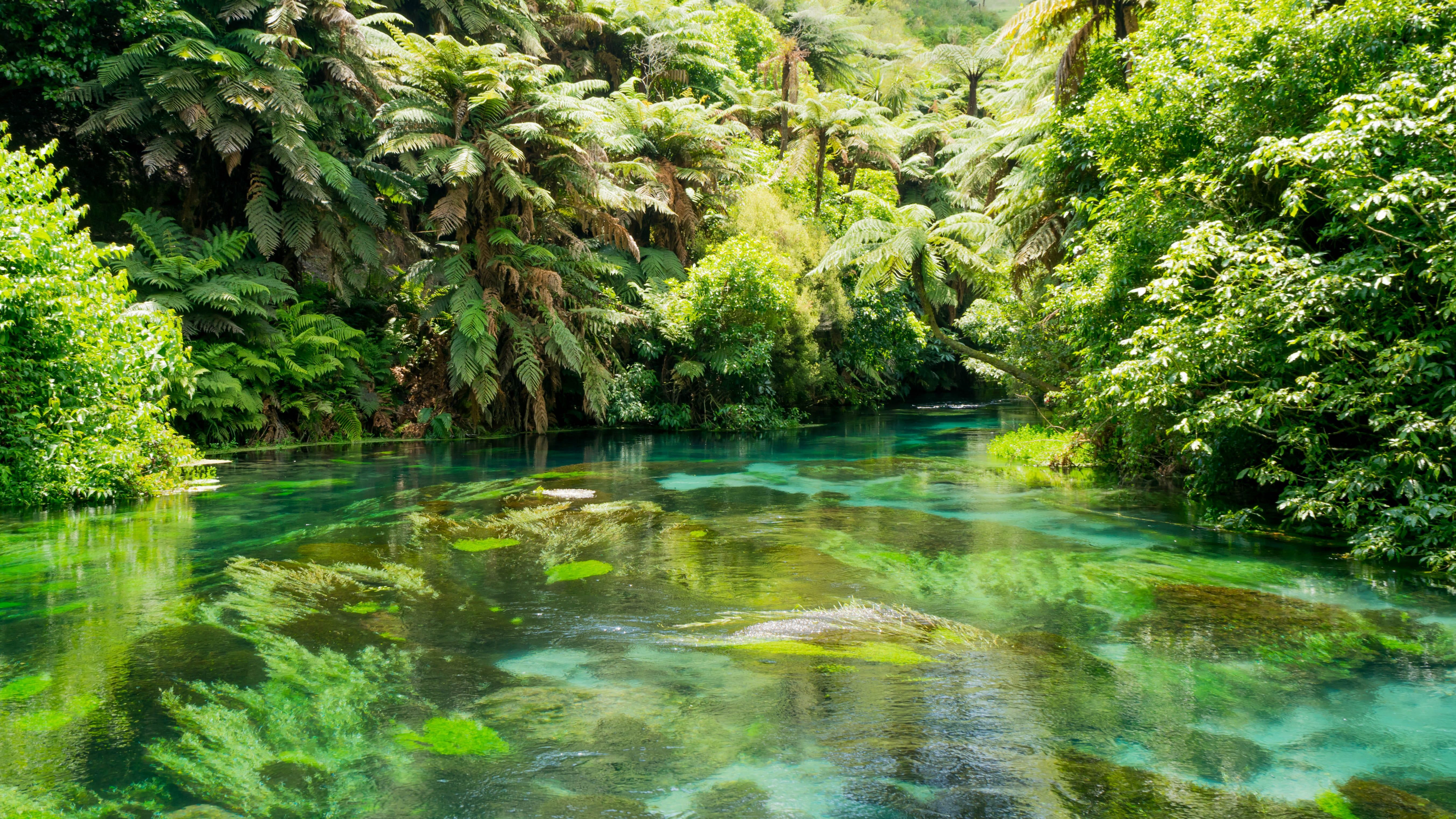 5411x3045 Rotorua Wallpaper