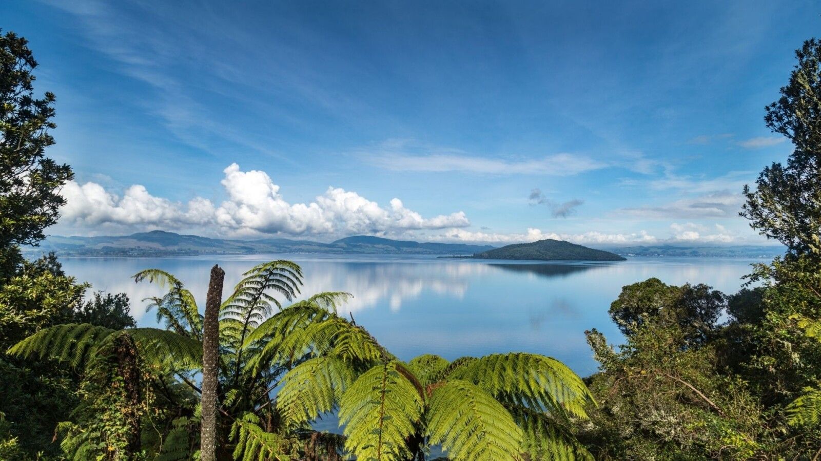 1600x900 Things To Do In Rotorua!