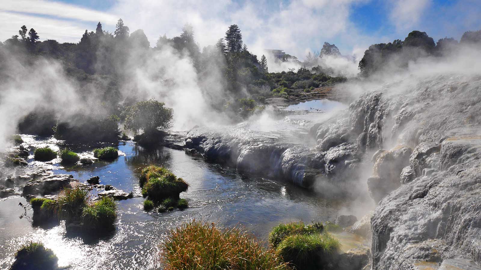 1600x900 Experience The Power Of Nature In Rotorua