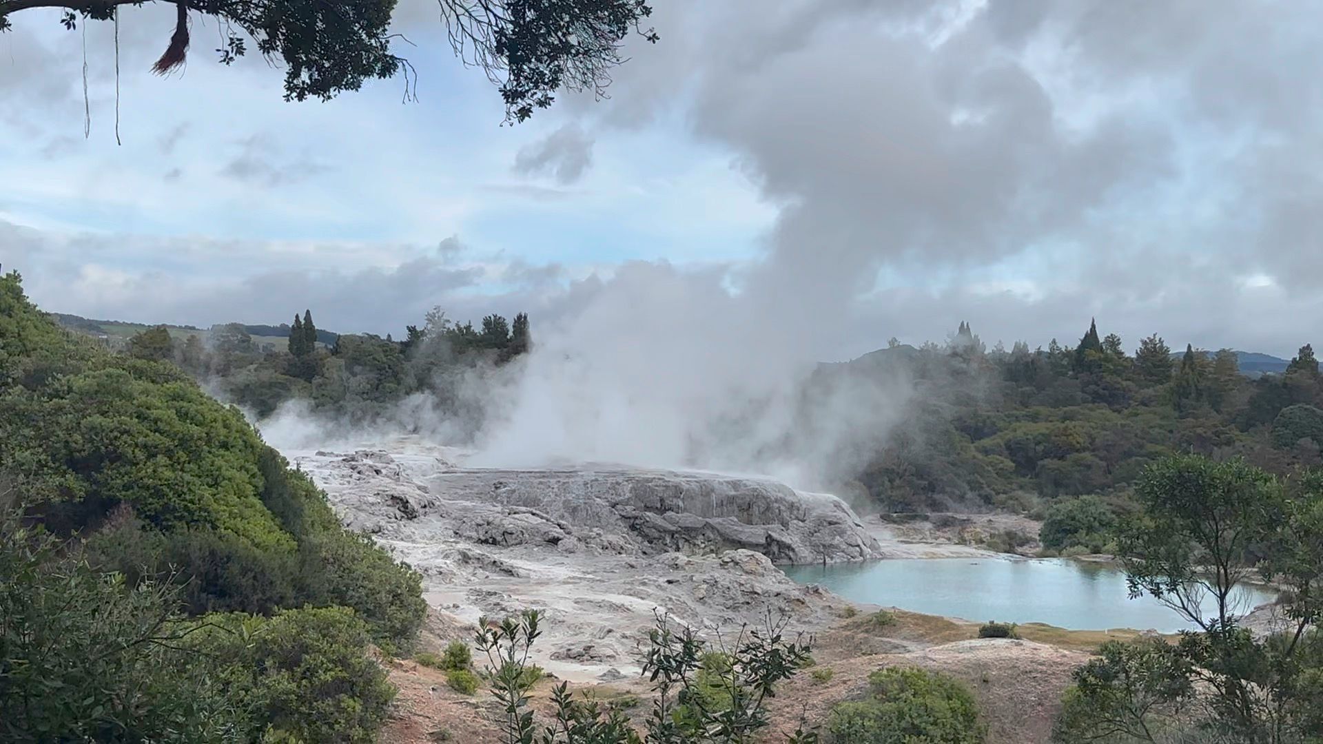 1920x1080 Day Trips to Rotorua
