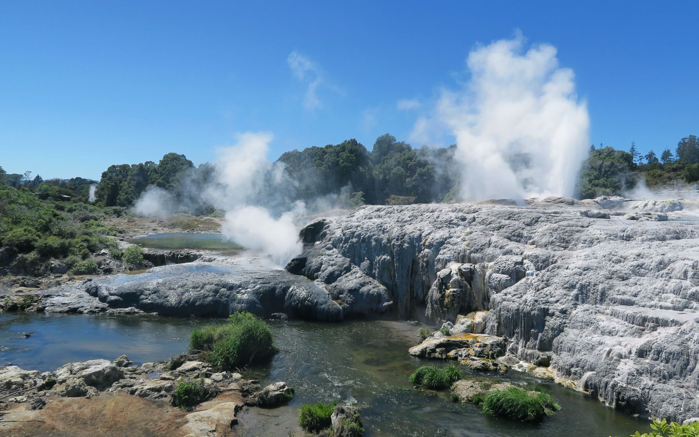 1440x900 Rotorua, Te Puia and Waiotapu, New Zealand