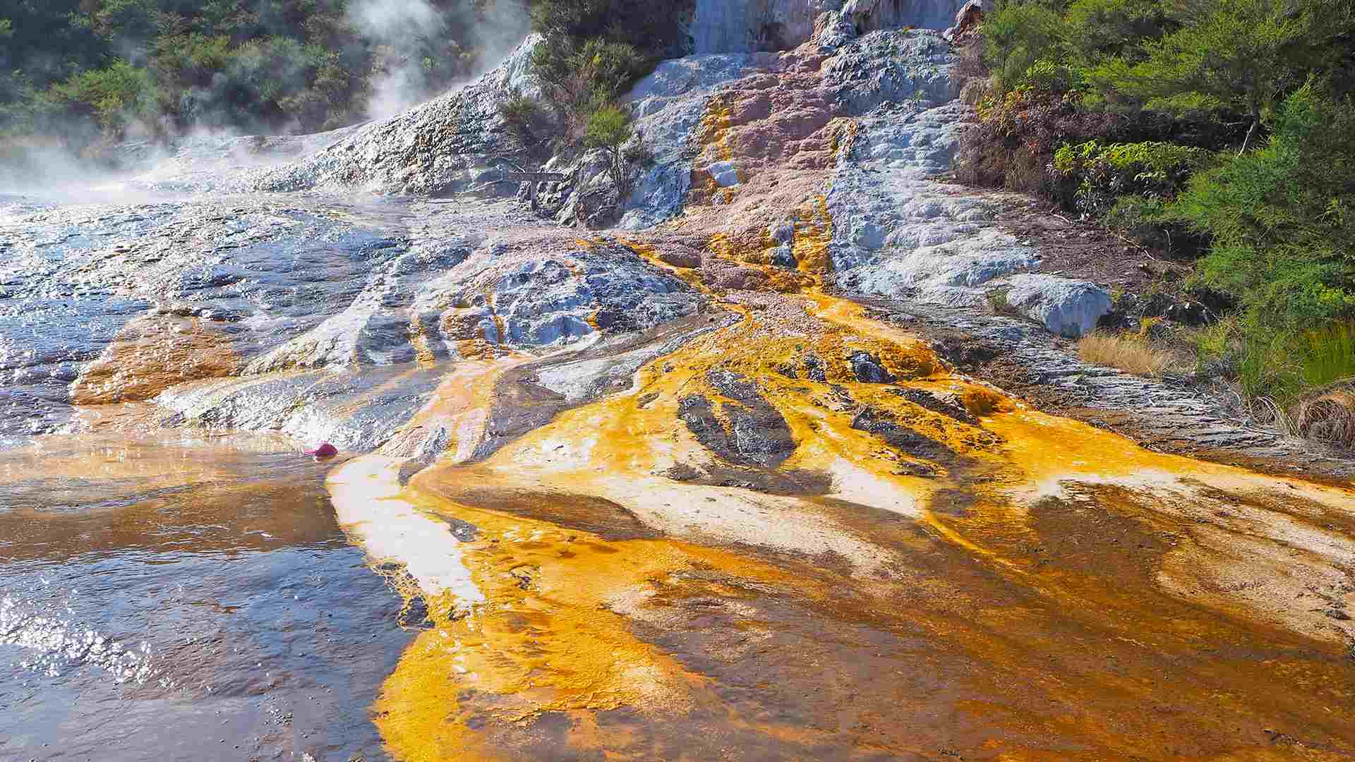 1920x1080 Rotorua: Geothermal Marvels in Bay of Plenty