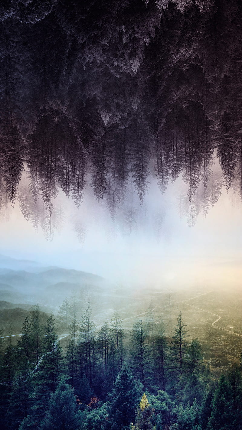 800x1422 HD scandinavian forest wallpaper