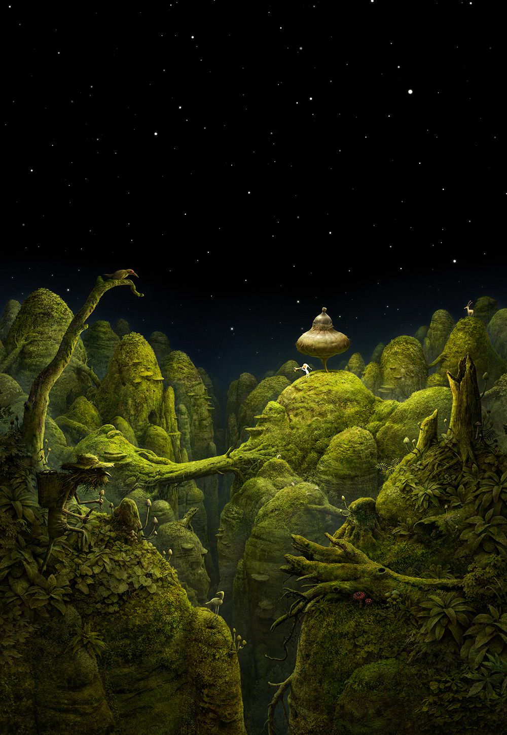 1000x1451 Samorost Wallpaper