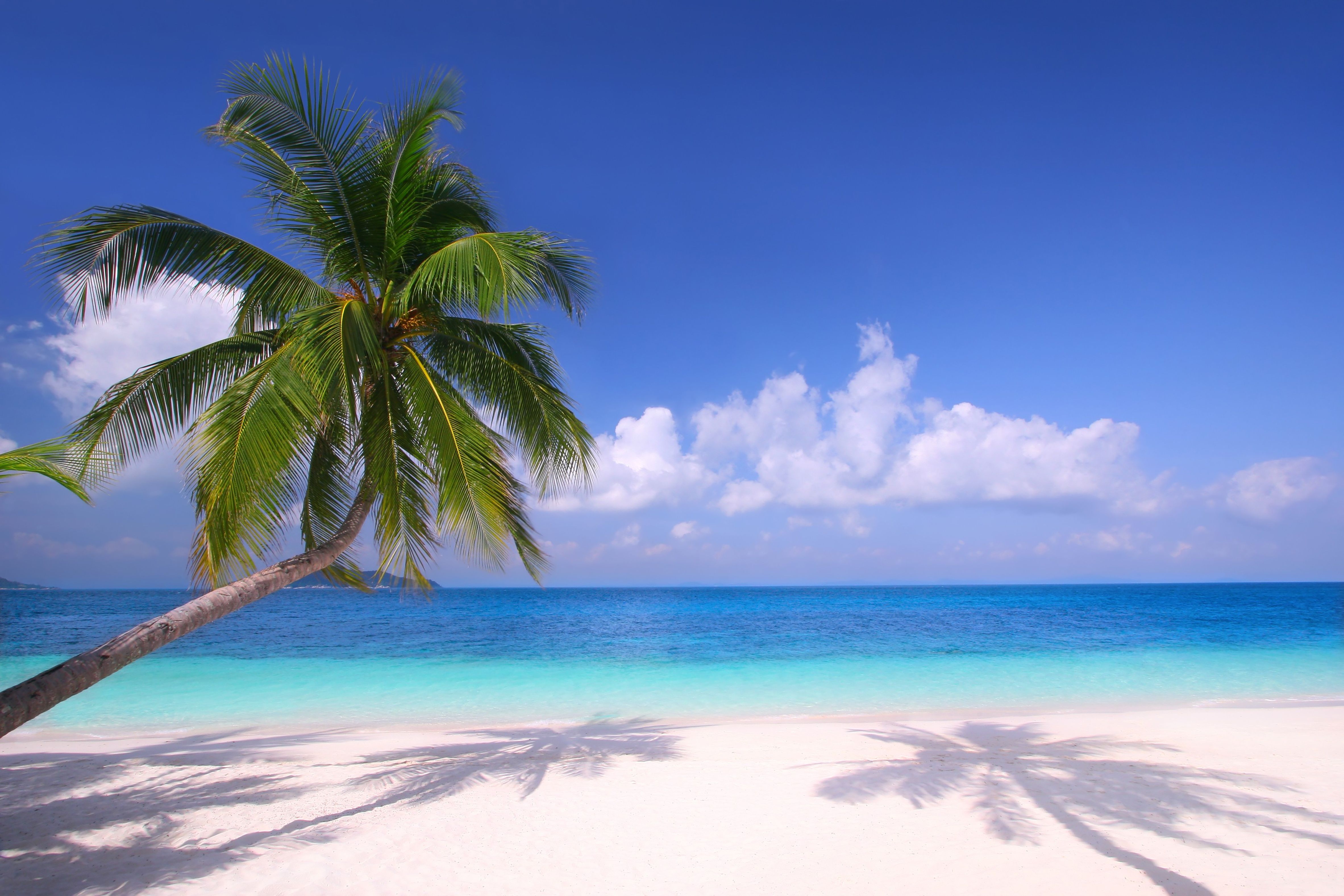 4730x3154 Tropical Horizon Ultra HD Wallpaper