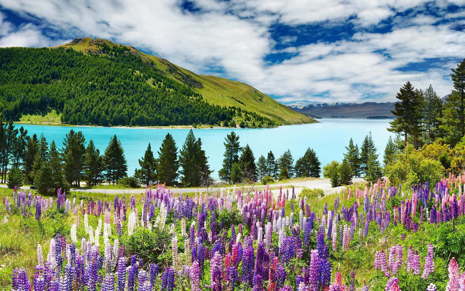 1920x1200 Download Majestic View Of Pristine Scenery In New Zealand Wallpaper