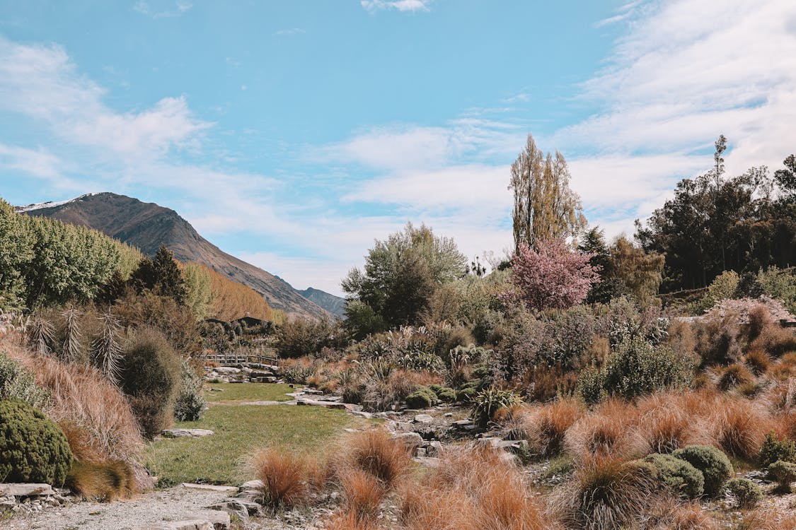 1125x750 Stunning Landscape in Queenstown, New Zealand · Free