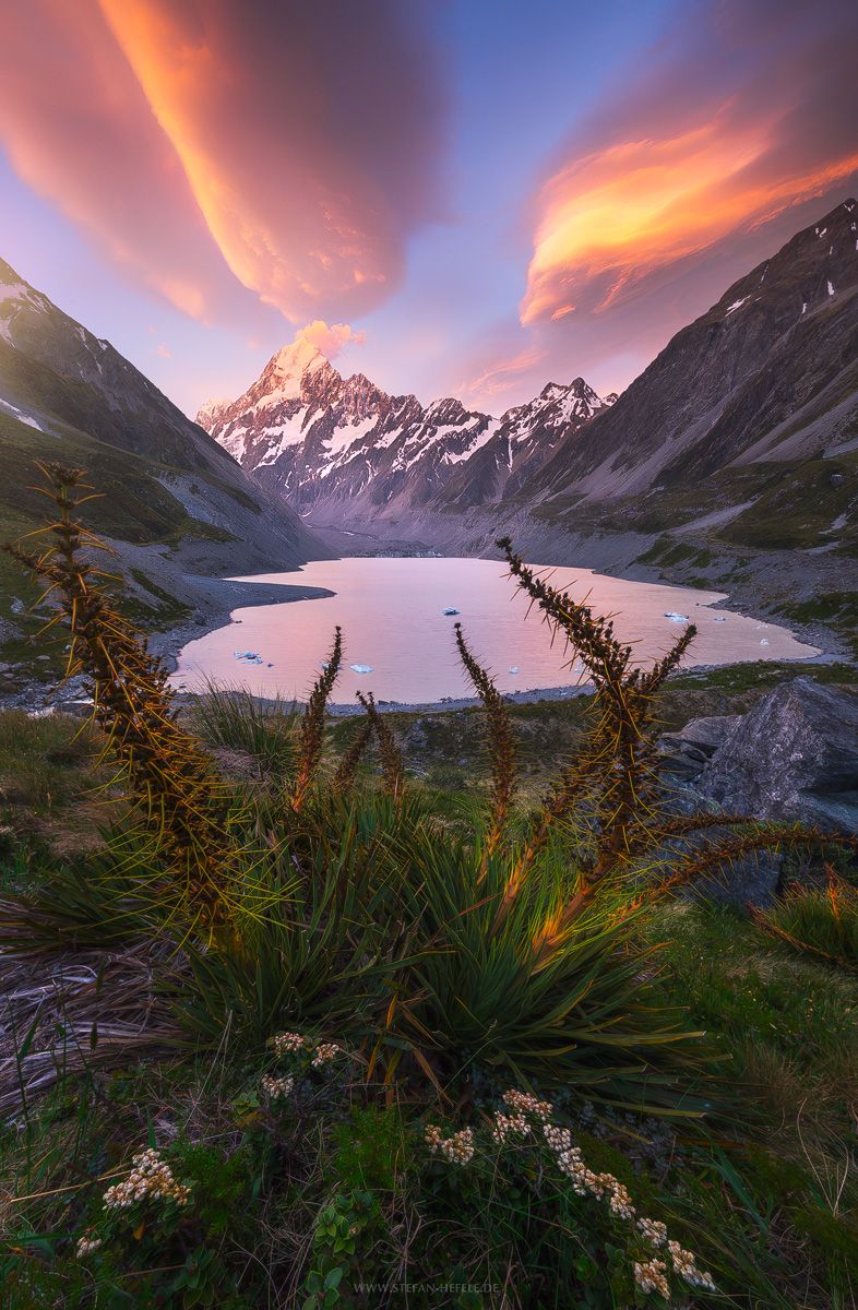 786x1200 New Zealand picture Hefele photography