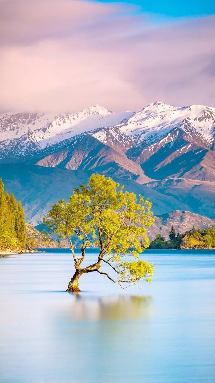720x1280 Nature Wallpaper