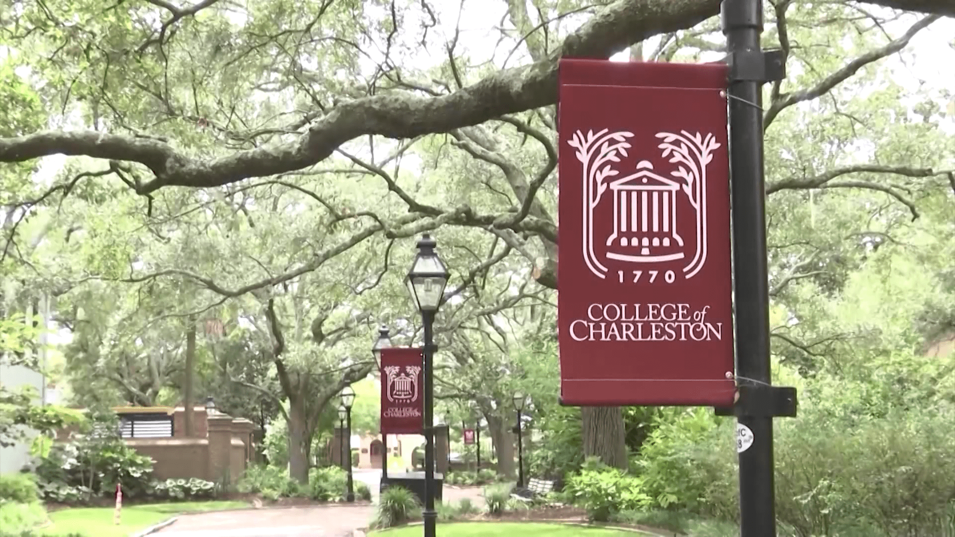1920x1080 Researcher accused of stealing fossils from College of Charleston museum surrendered. WCBD News 2