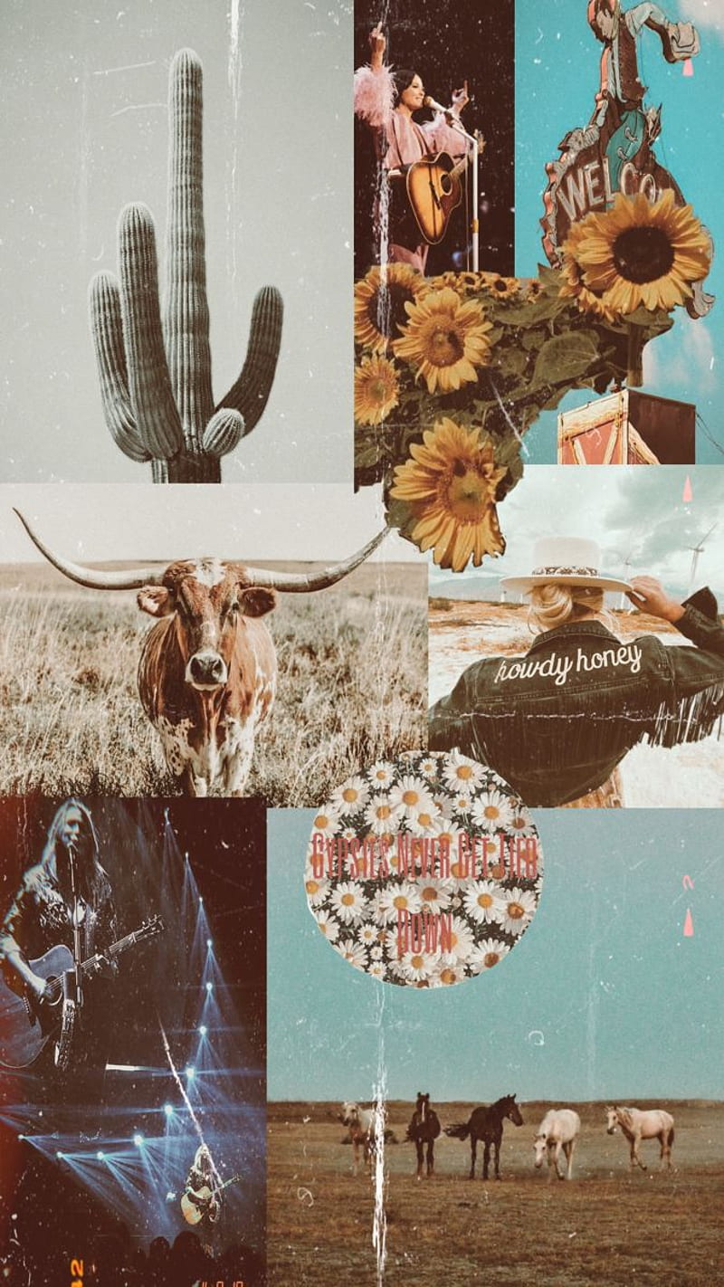800x1422 Wild West. nature flowers, Cute background, Western wall art, Western Asthetic, HD phone wallpaper