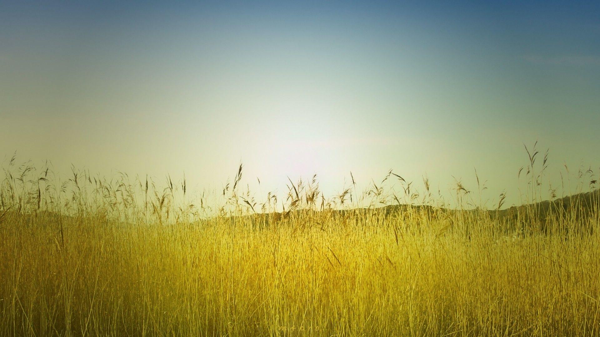 1920x1080 Late Summer Background for Desktop. Summer Wallpaper, Cute Summer Wallpaper and Summer iPhone Wallpaper