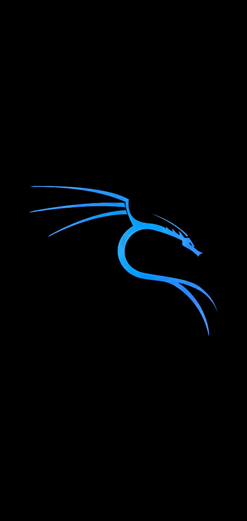 800x1689 Kali Linux Blue, hacker, hacking, kali, linux, nethunter, offensive security, HD phone wallpaper