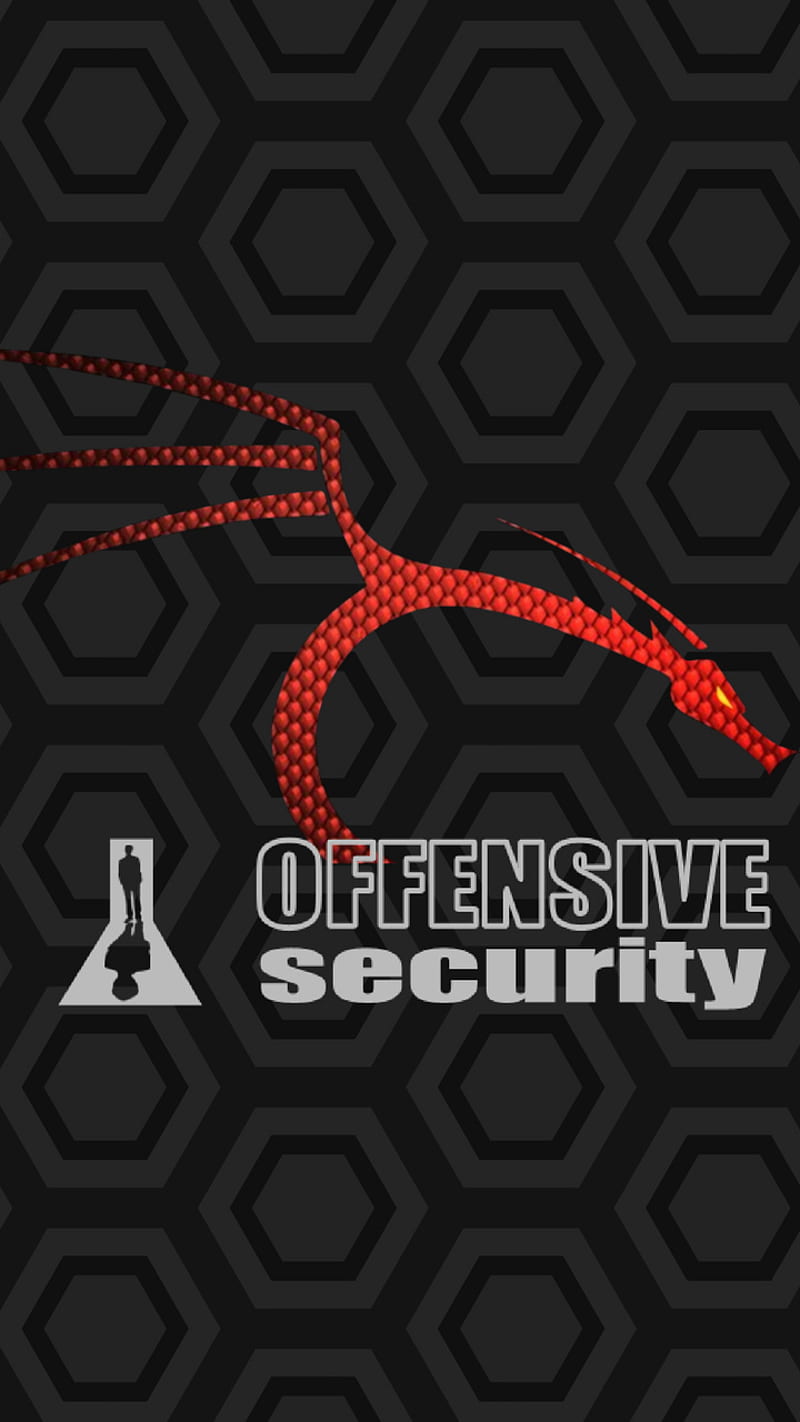 800x1422 HD offensive security wallpaper