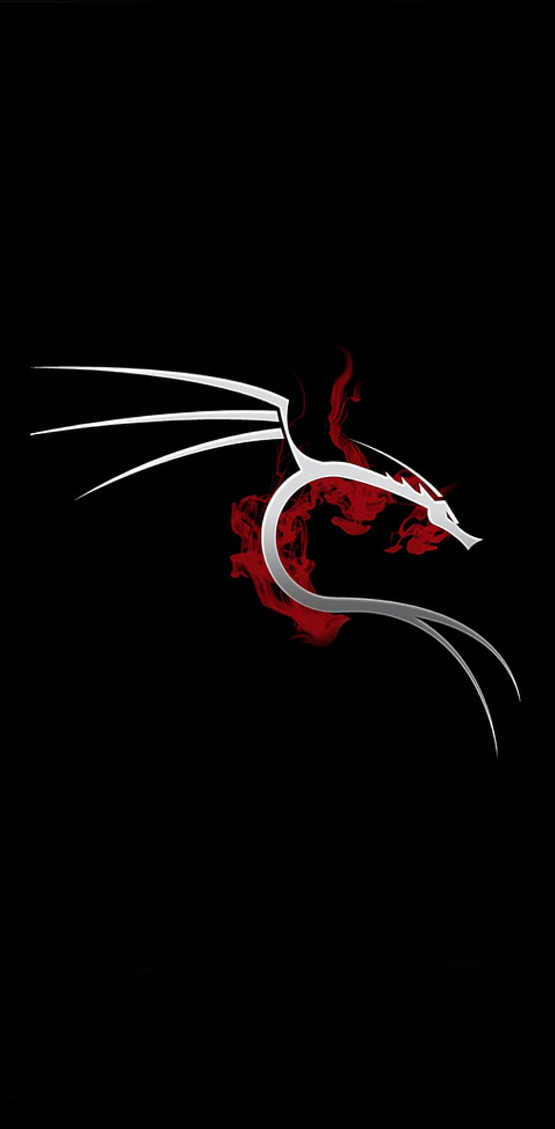 800x1628 HD offensive security wallpaper