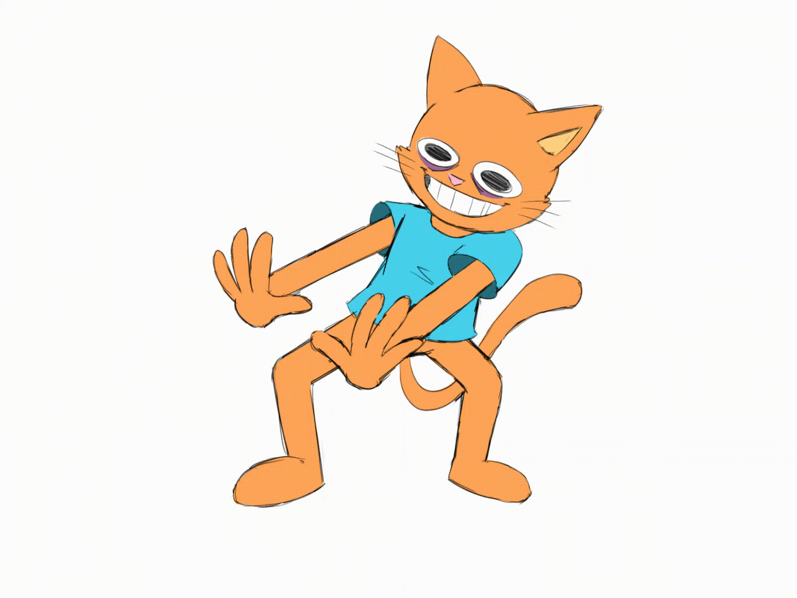 1600x1200 Cat Dance test (2020)