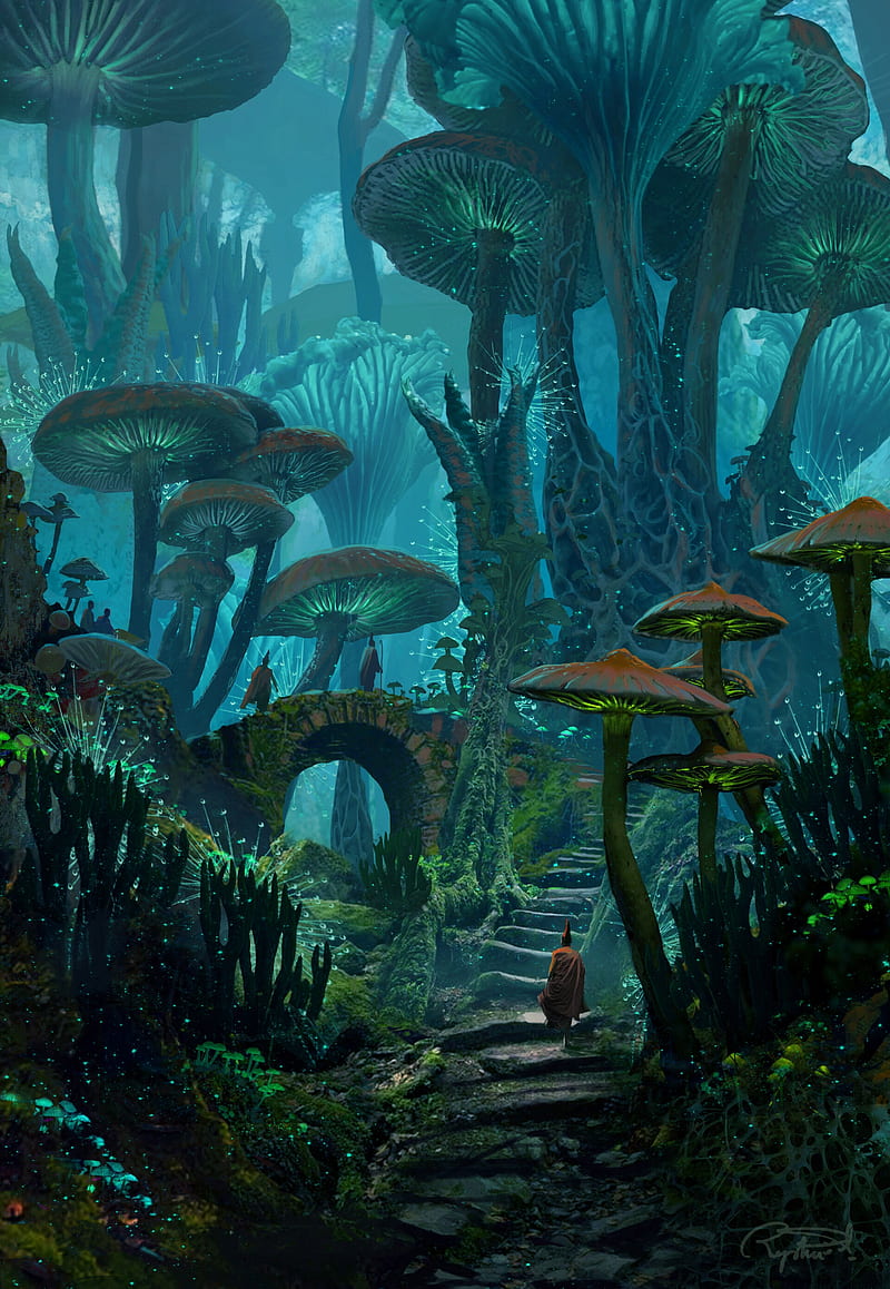 800x1158 Fantasy landscape, forest, giant mushrooms, people, Fantasy, HD phone wallpaper