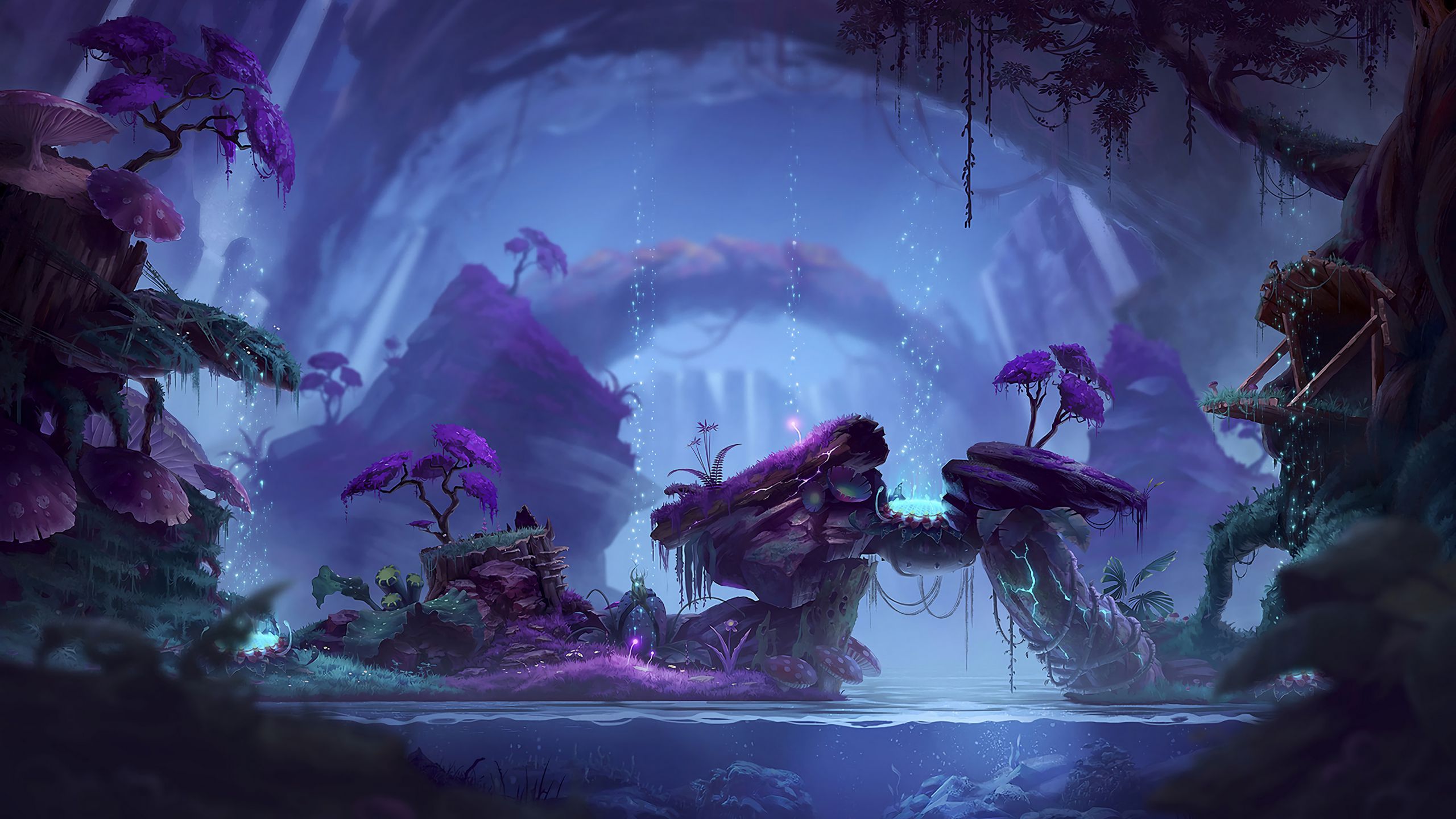 2560x1440 Download wallpaper 2560x1440 forest, fantasy, glow, water widescreen 16:9 HD background