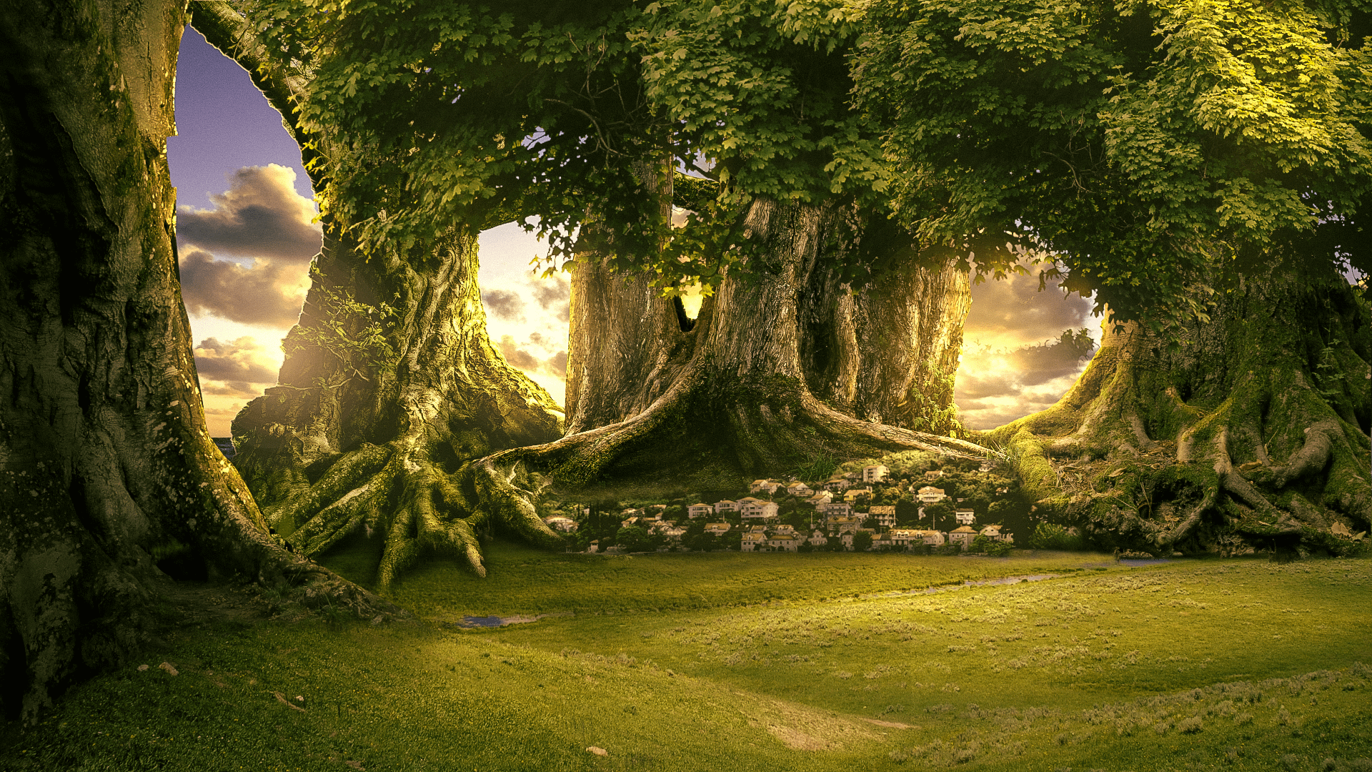 1920x1080 Surreal Fantasy Forest Photo Manipulation