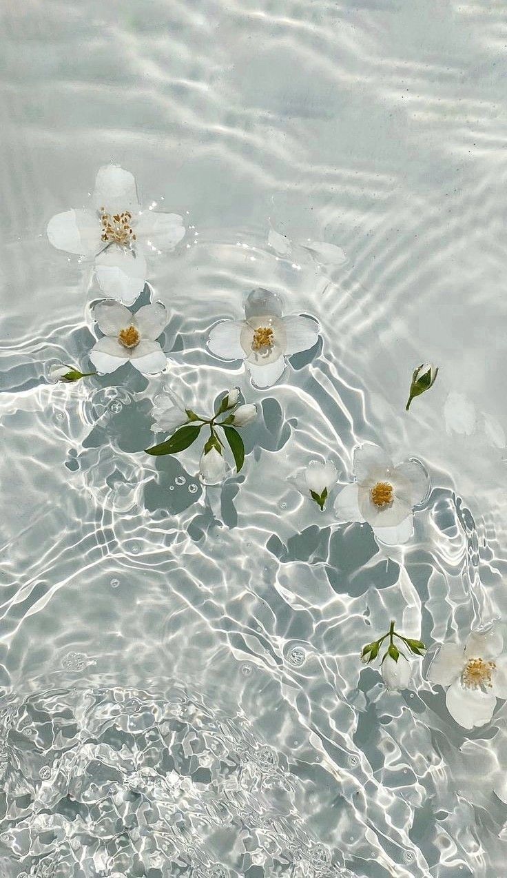 736x1274 Cottagecore Aesthetic Wallpaper Options for a Dreamy World
