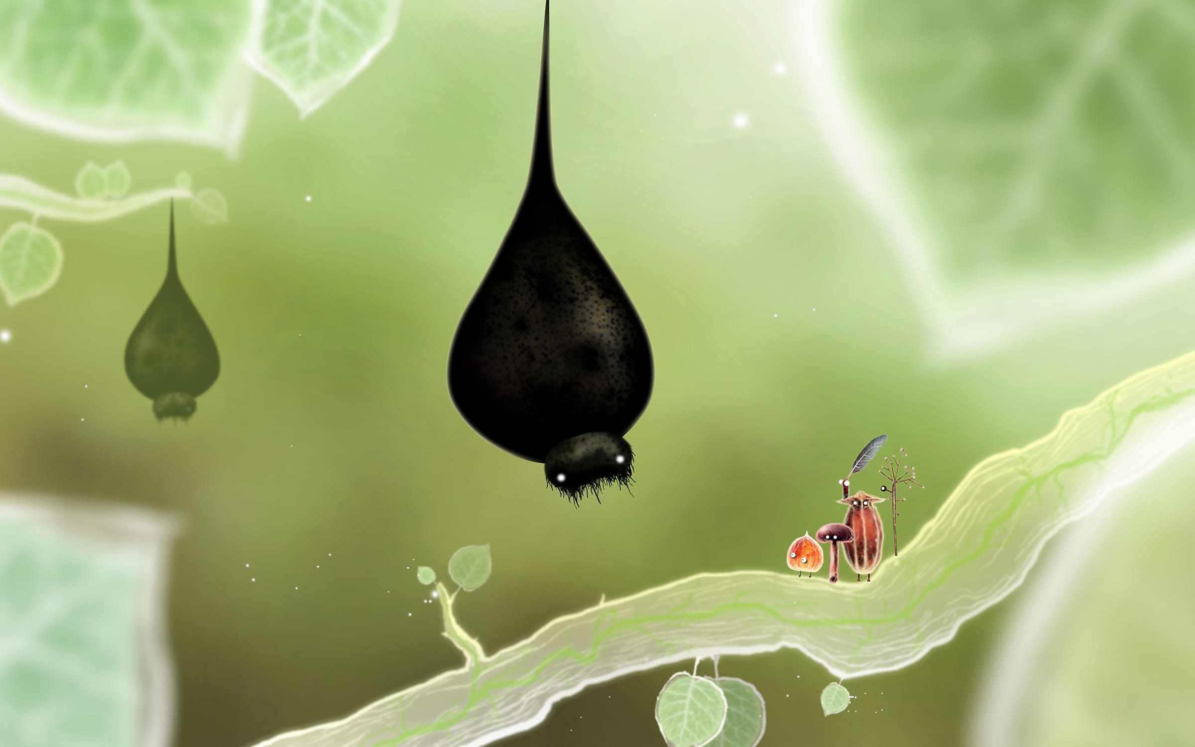2400x1500 Botanicula