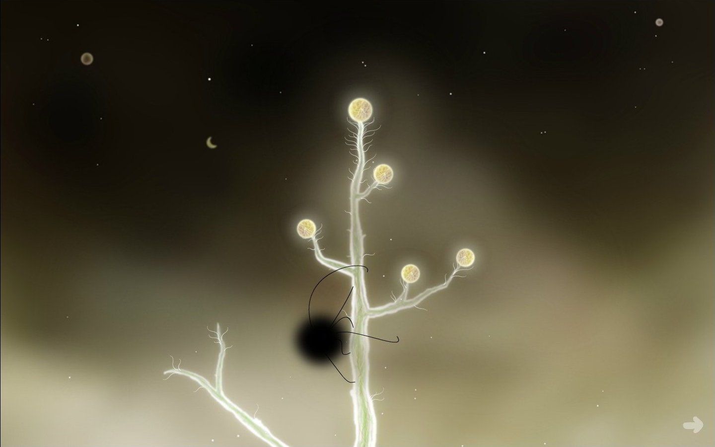 1440x900 Botanicula: A famous game for Mac and iOSthat will put a smile on your face!