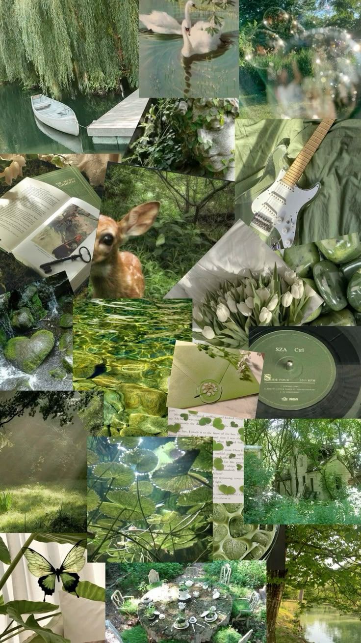 736x1308 moss green aesthetic wallpaper