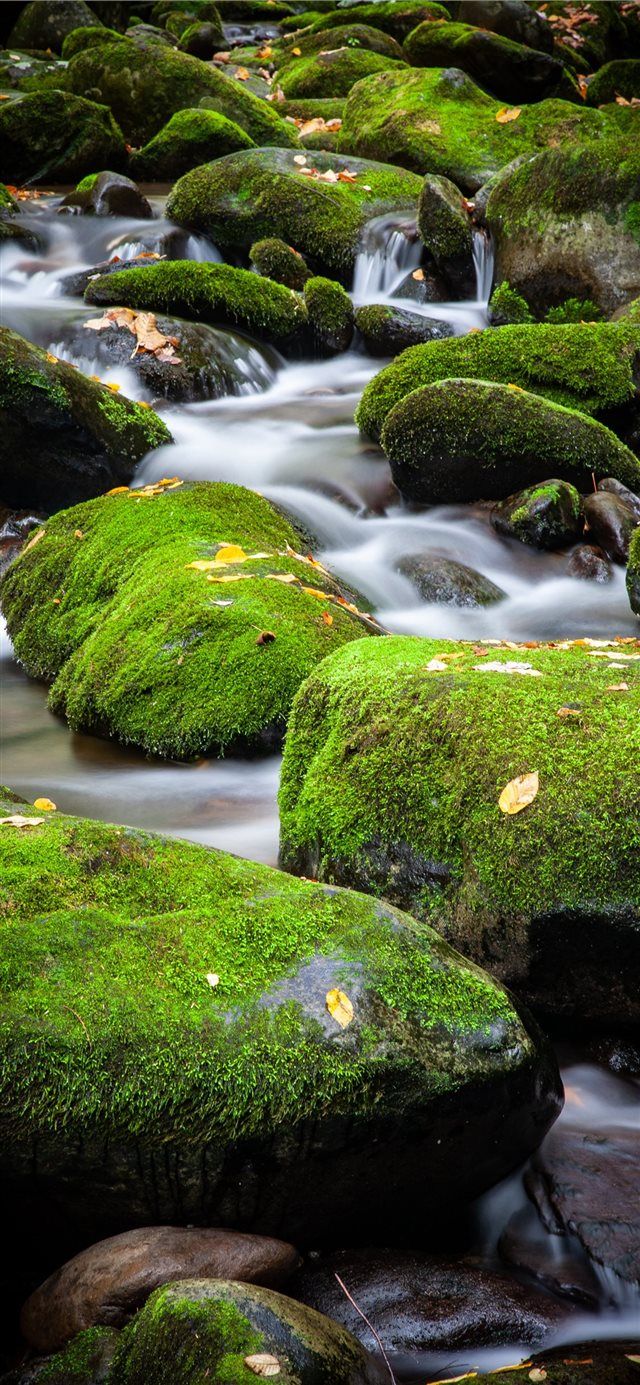 640x1385 A small cascade over moss covered rocks in Great S. iPhone X Wallpaper Free Download