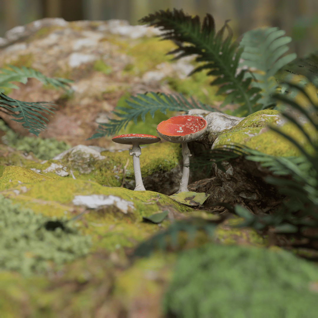 1080x1080 Moss & Mushrooms RENDER FORUM