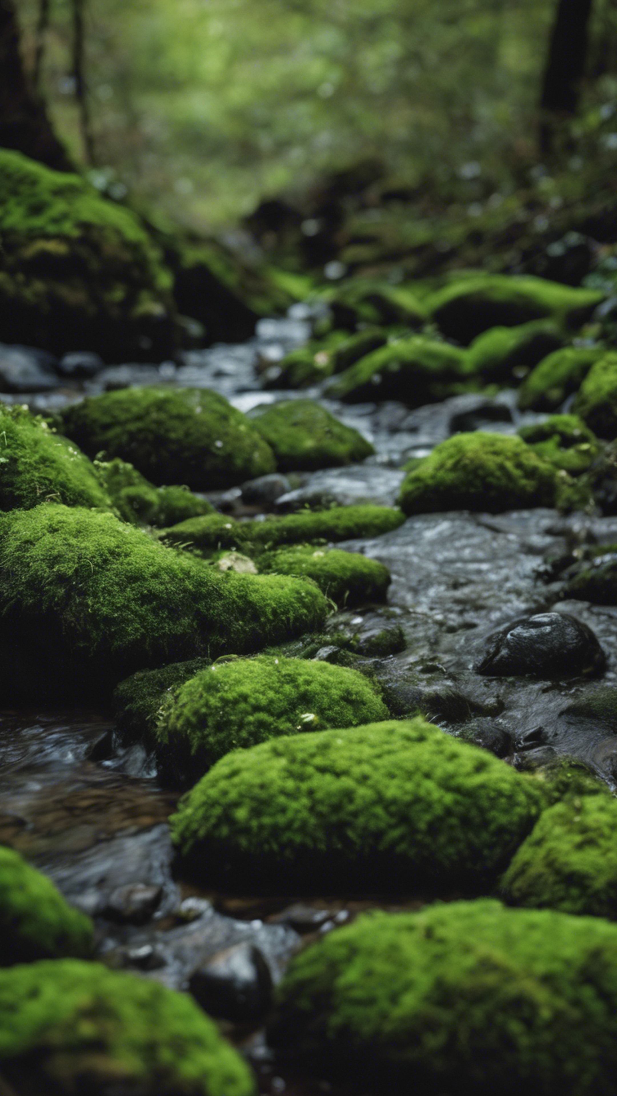 2160x3840 Dark green moss covered rocks in a slow moving creek bed. Wallpaper [ad9a095520e34b7d91e8]